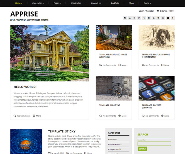 Apprise WordPress Theme