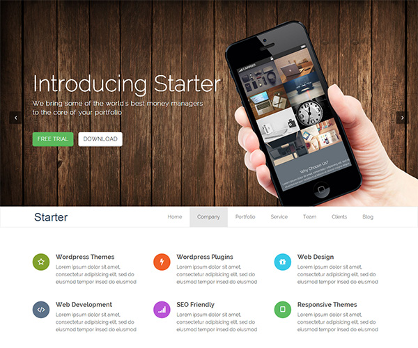 Starter WordPress Theme