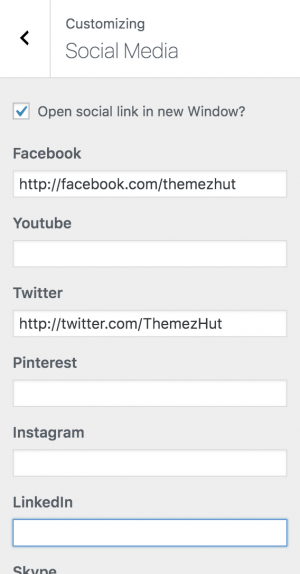 Bam Pro WordPress theme documentation-ThemezHut