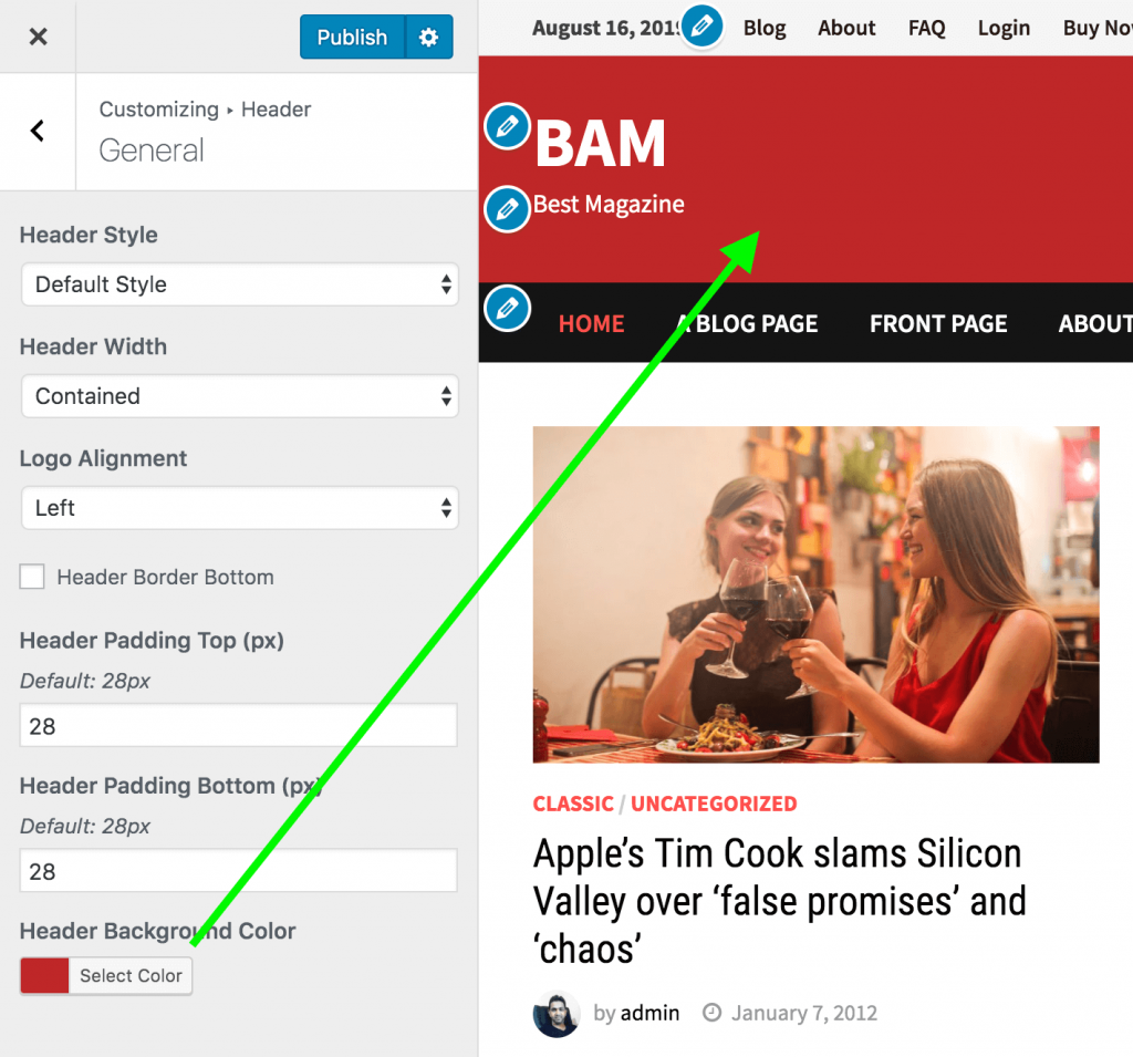 Bam Pro WordPress theme documentation-ThemezHut